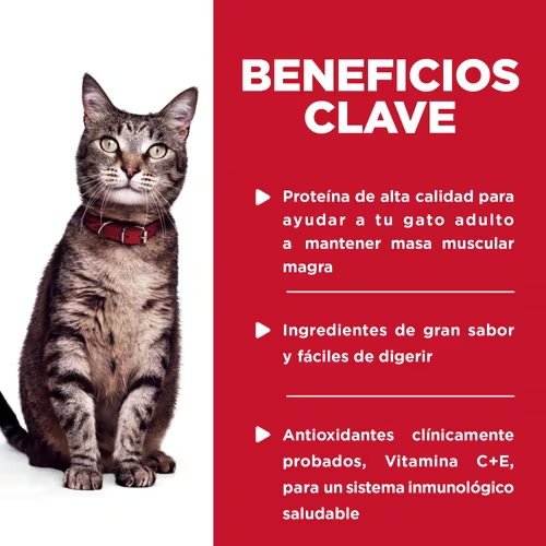 Alimento Húmedo Hills Pouch para Gato Adulto Sabor Pollo - 12 Pack Alimento Húmedo Hills Pouch para Gato Adulto Sabor Pollo - 12 Pack